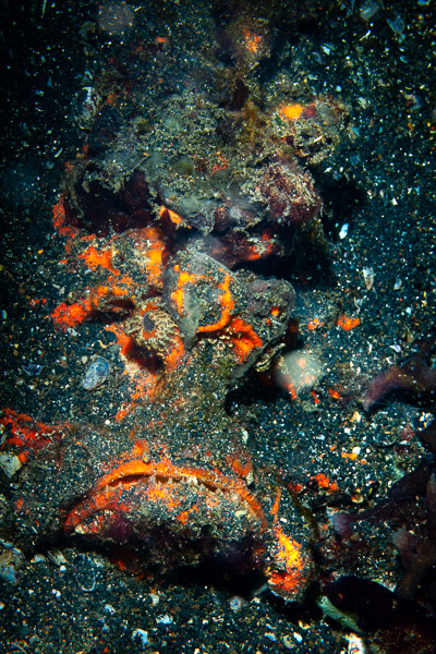 Stacks Image 3530