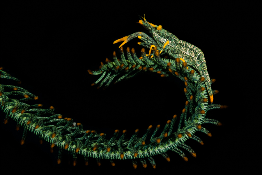 Stacks Image 3163