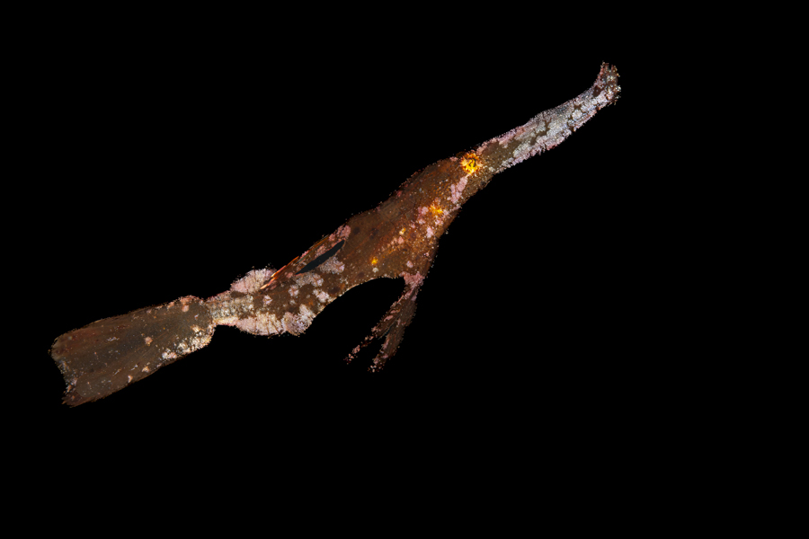 Stacks Image 1249