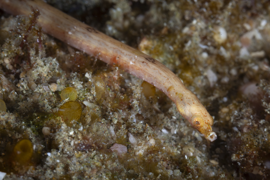 Stacks Image 1441