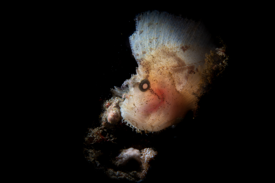 Stacks Image 1647