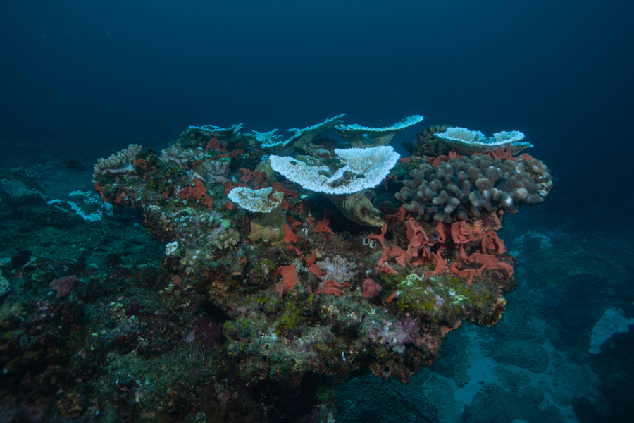 Stacks Image 1690