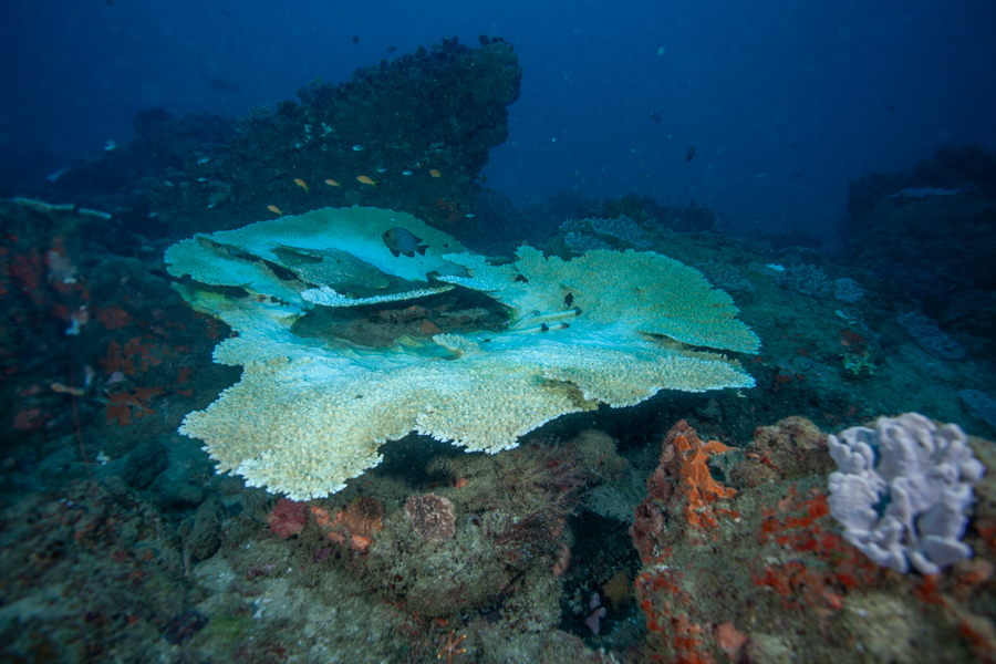 Stacks Image 1802