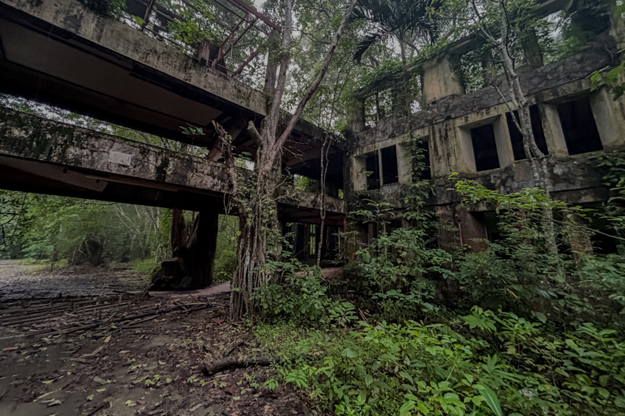 Stacks Image 924