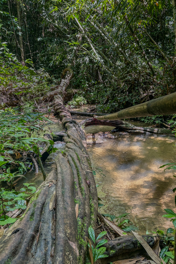 Stacks Image 941