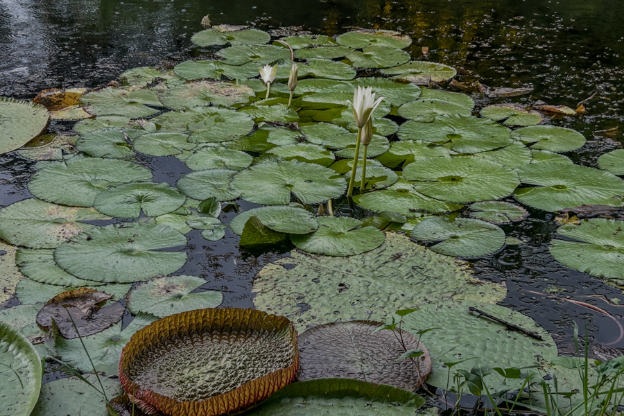 Stacks Image 1202