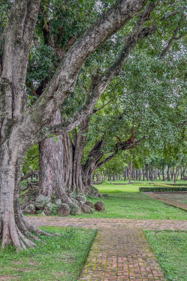 Stacks Image 837