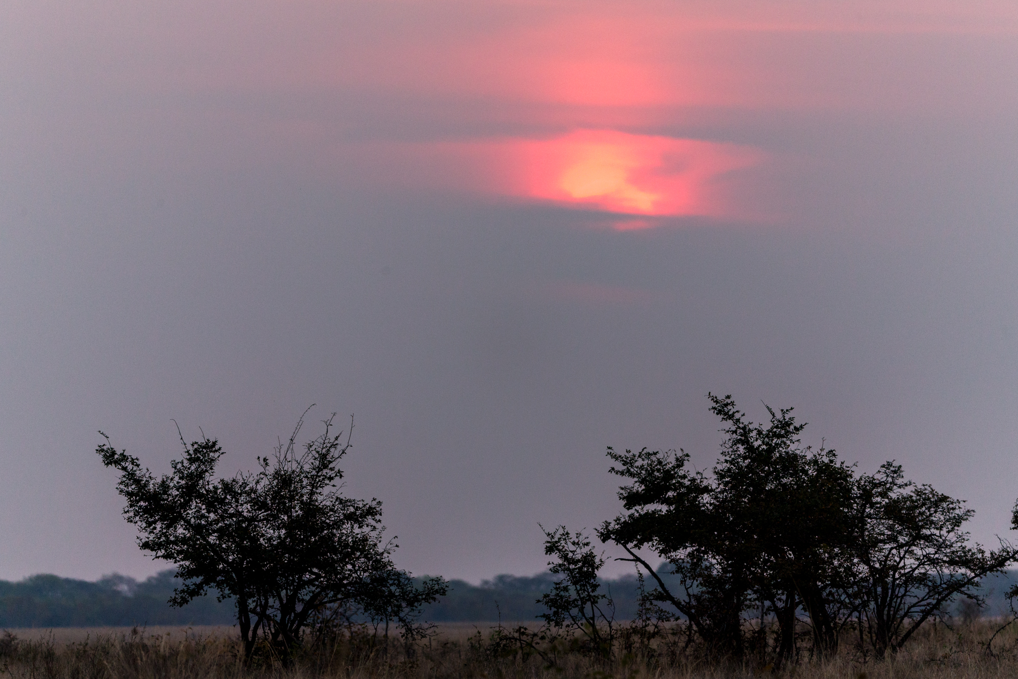 Sunset Liuwa Style