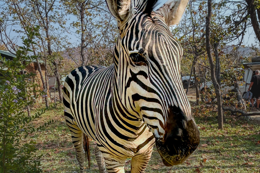 Stacks Image 1288